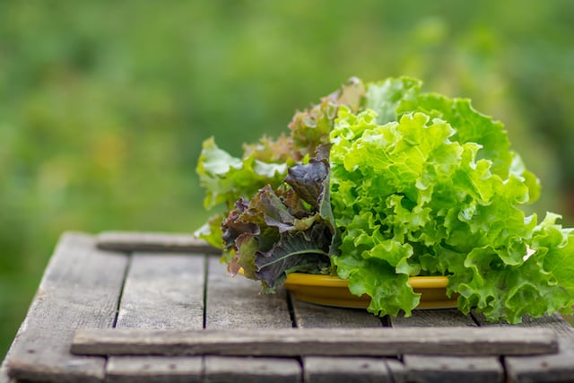 Landscaping costs
