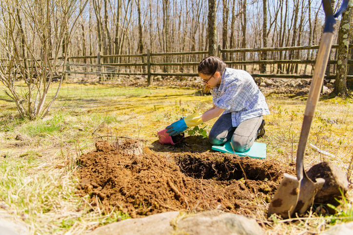 Landscaping costs
