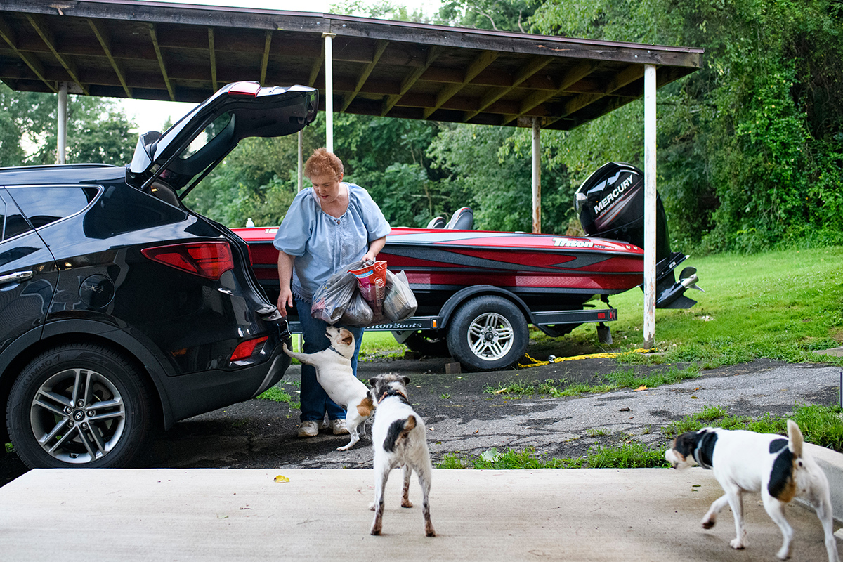 A woman getting things out of the trunk of her car is welcomed home by her dogs.