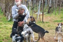 A man smiles as numerous dogs jump on him.