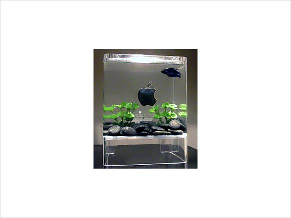 Macquarium Fish Tank