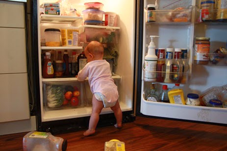 What’s in Your Fridge? Get Paid to Share…