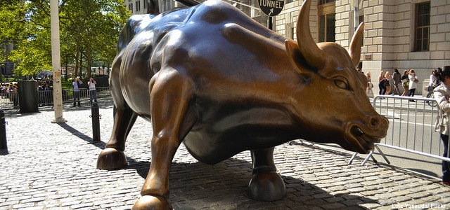 Wall Street Bull