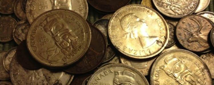 Image: Canadian Silver. Photo by P Lo