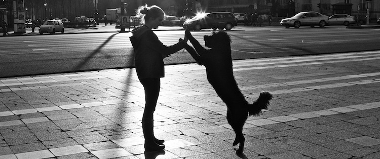 Want to Get Paid to Spend Time with Other People’s Dogs?