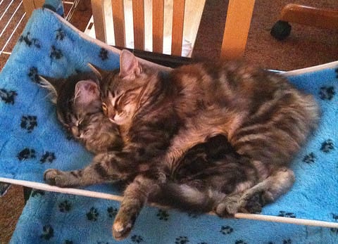 Like Being Big Spoon? This Woman Earns $60 an Hour Cuddling With Strangers