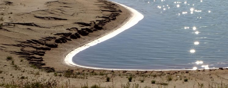 treasure hunting in a drained lake or pond