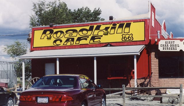 Eating Roadkill at the Roadkill Cafe