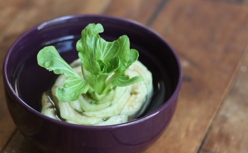 Bok Choy