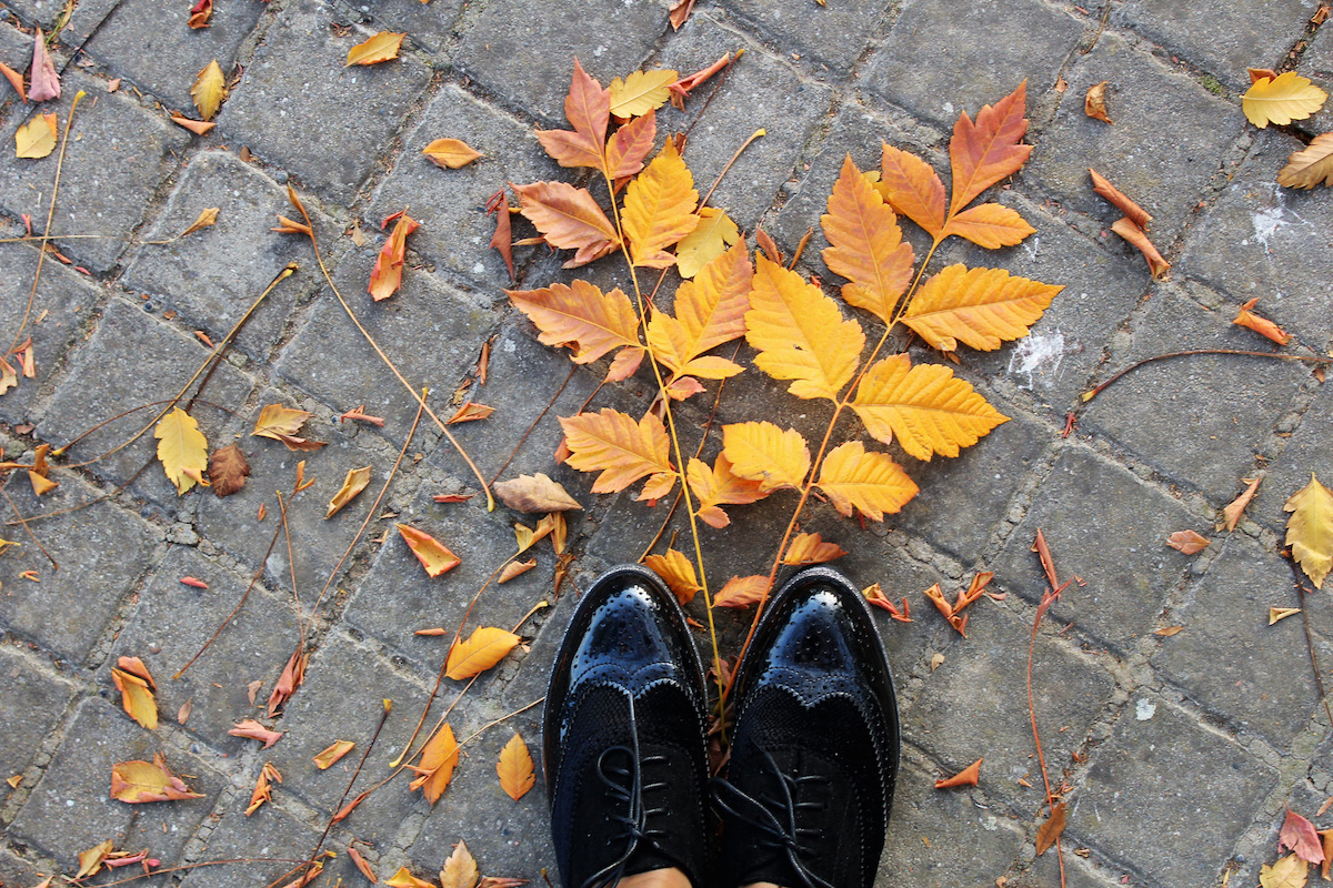 shoes and autumn leaves.