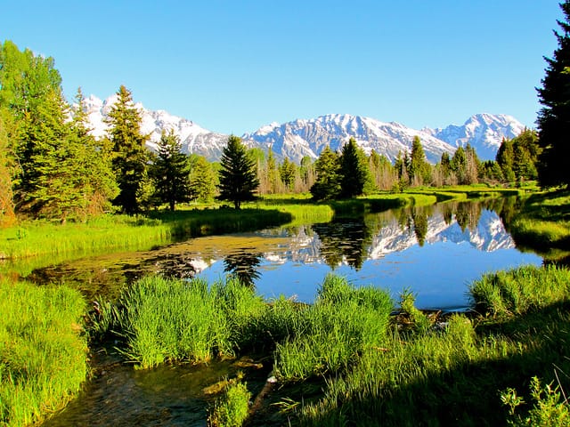 national parks pass
