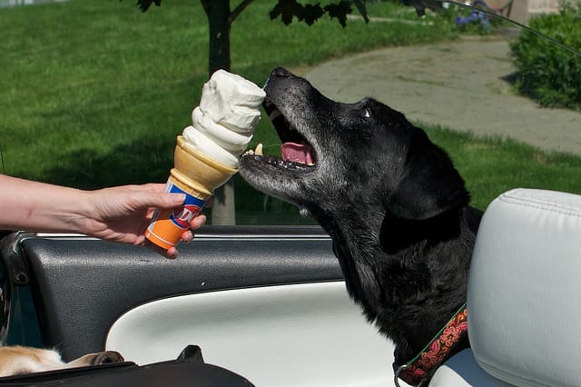 free cone day