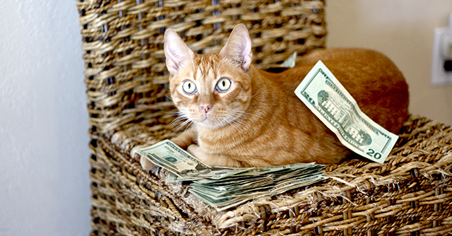 Basic income