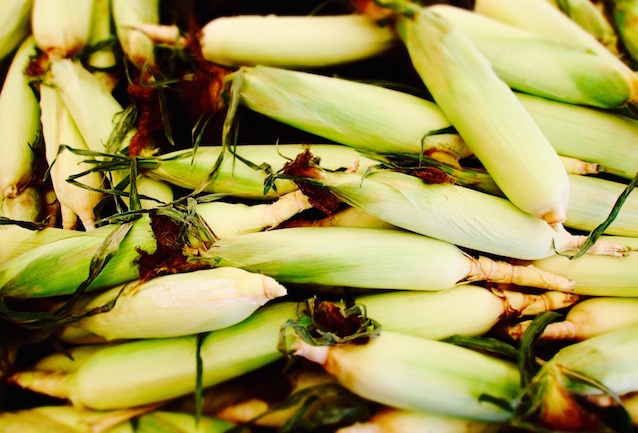 How to save money on groceries