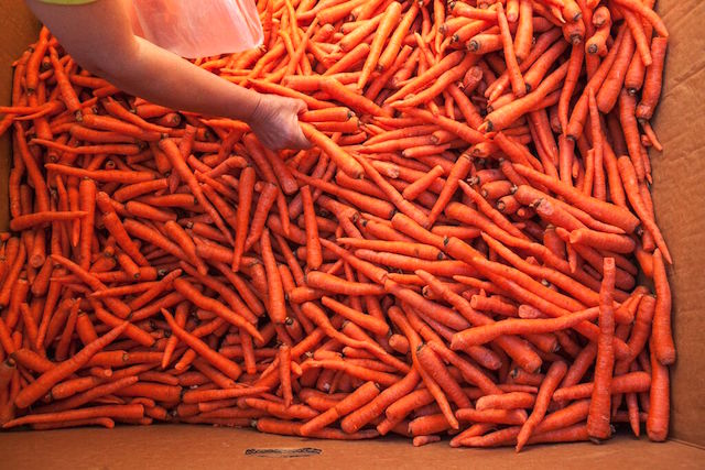 imperfect produce