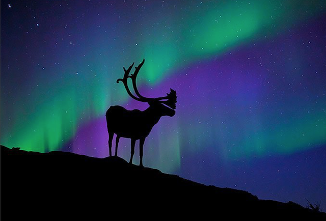 Visit canada