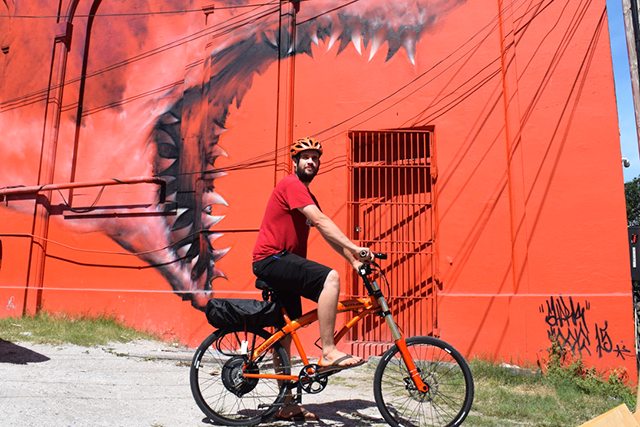 Buying a used bike