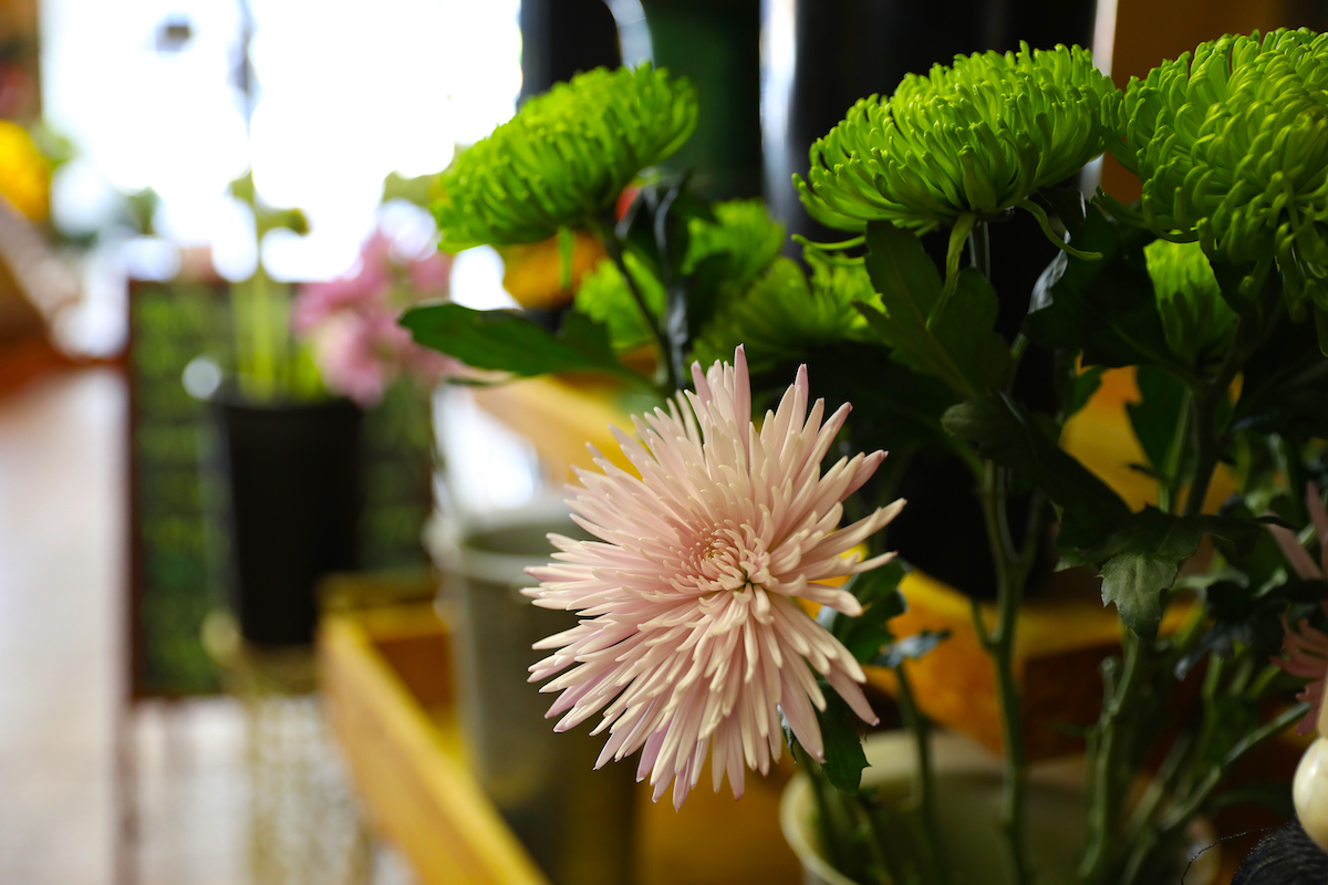 valentines day flowers