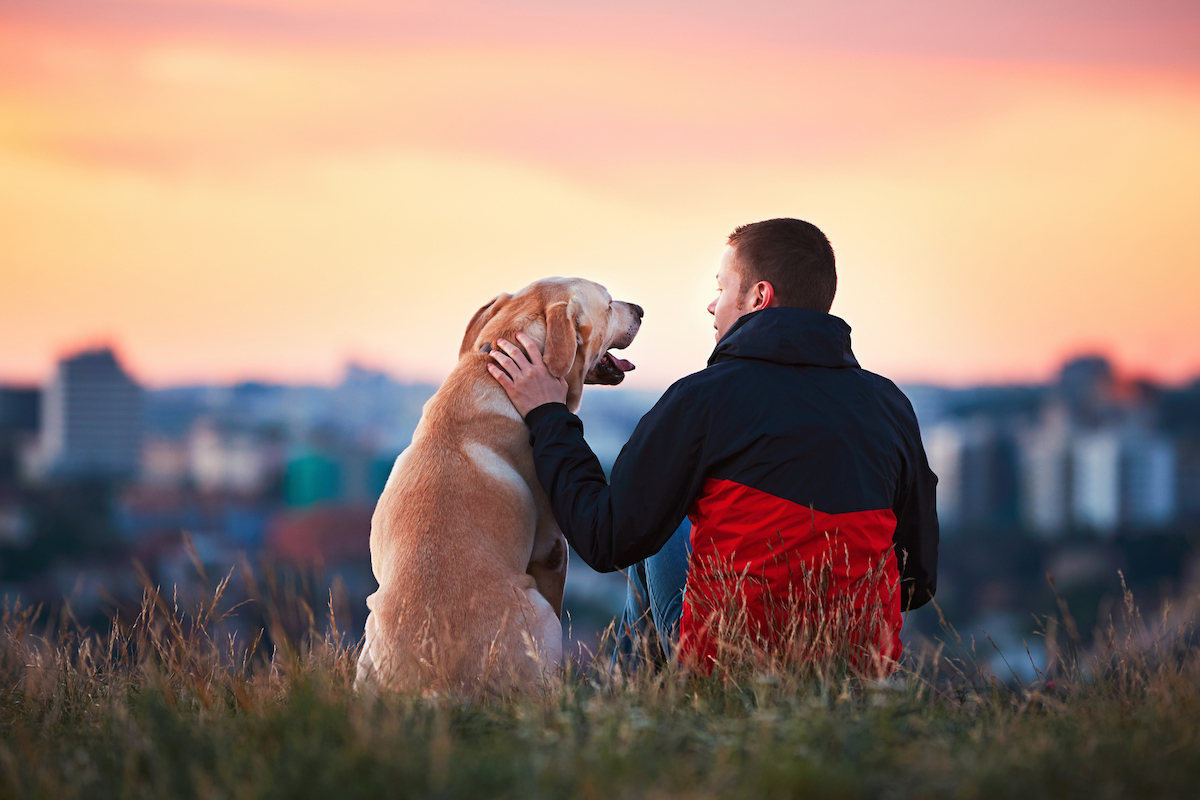 Young man sitting on the hill with his dog.