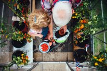 A grandfather plants tomatoes with his granddaughter in his greenhouse.