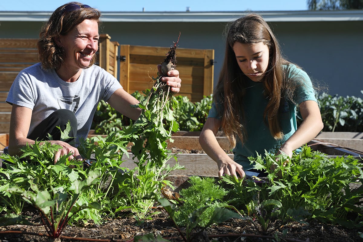 From Lawn to Table: This Nonprofit Will Help You Grow Veggies in Your Yard