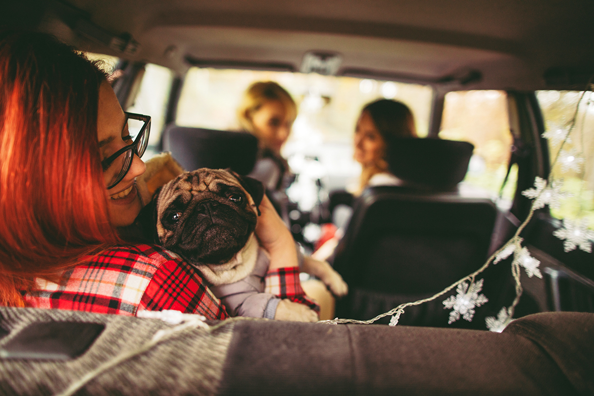 Affordable car insurance