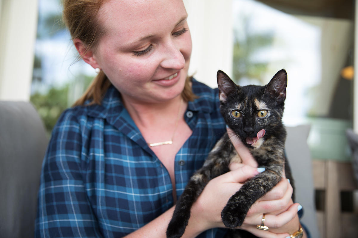 Penny Hoarder writer Carson Kohler considering if she should buy pet insurance for her cats.