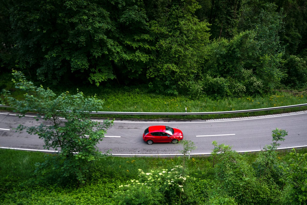 A red car drives down the road with lush greenery from wild flowers and trees all around it.