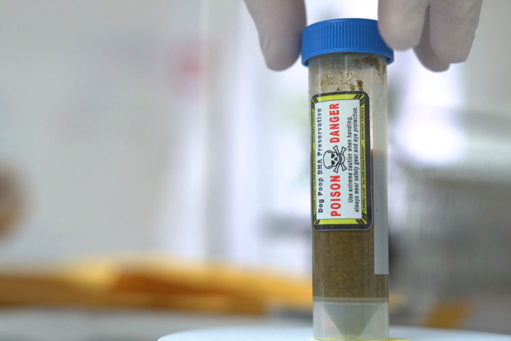 A vial of dog poop for DNA testing,