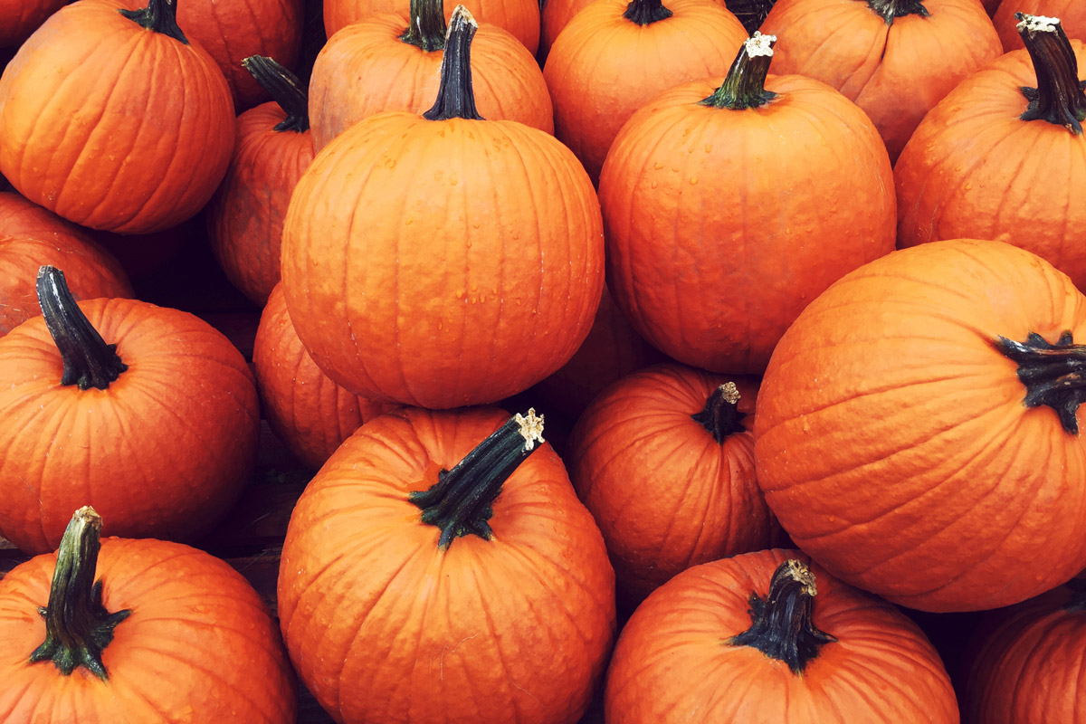 What to Do With Pumpkins After Halloween: 21 Fun, Creative Ideas