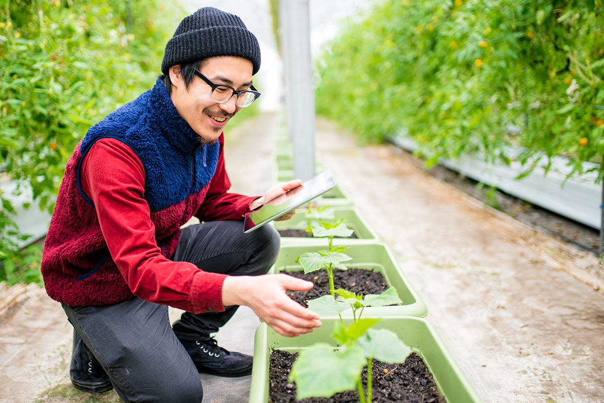 Man with a digital tablet in a greenhouse conducting research.