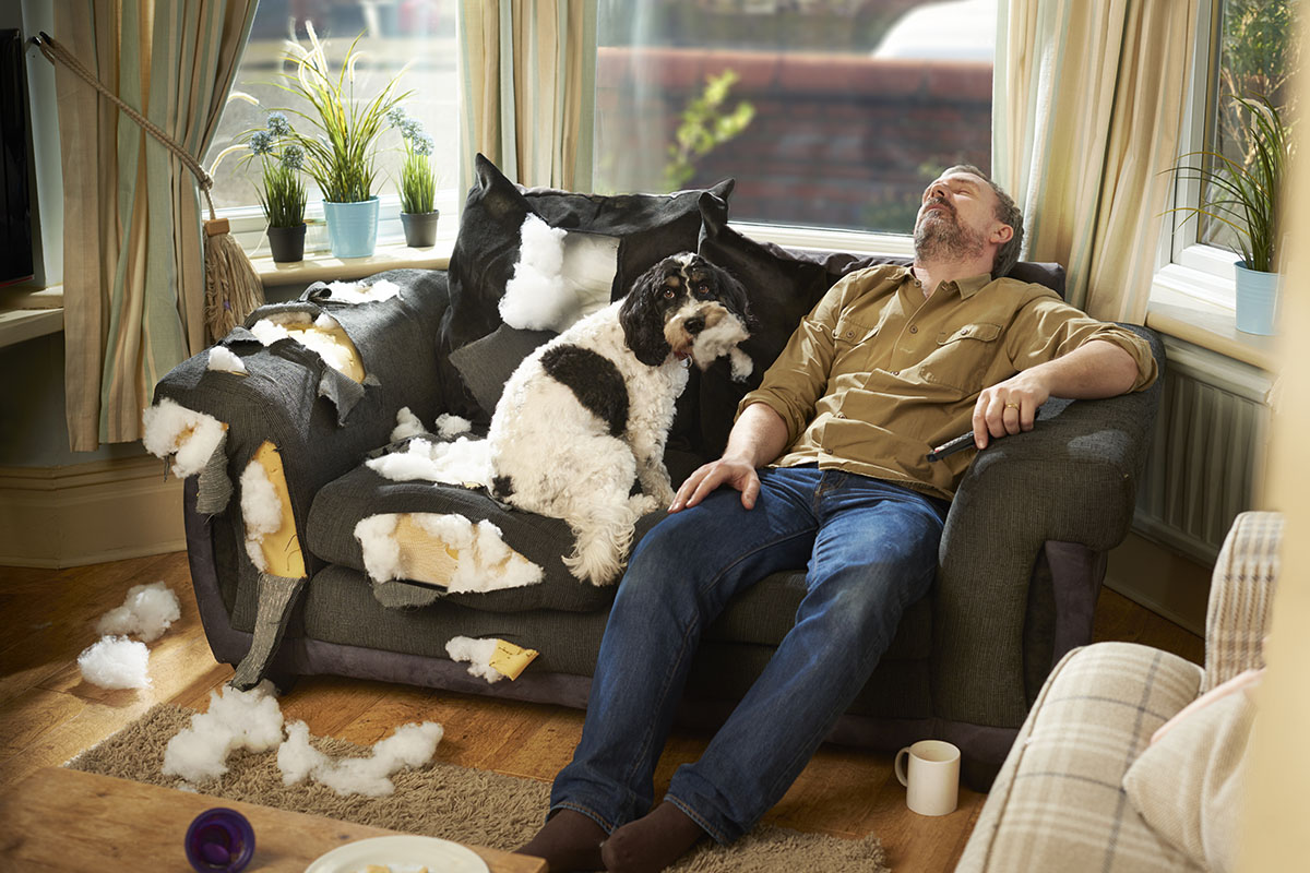 man asleep while dog destroys couch