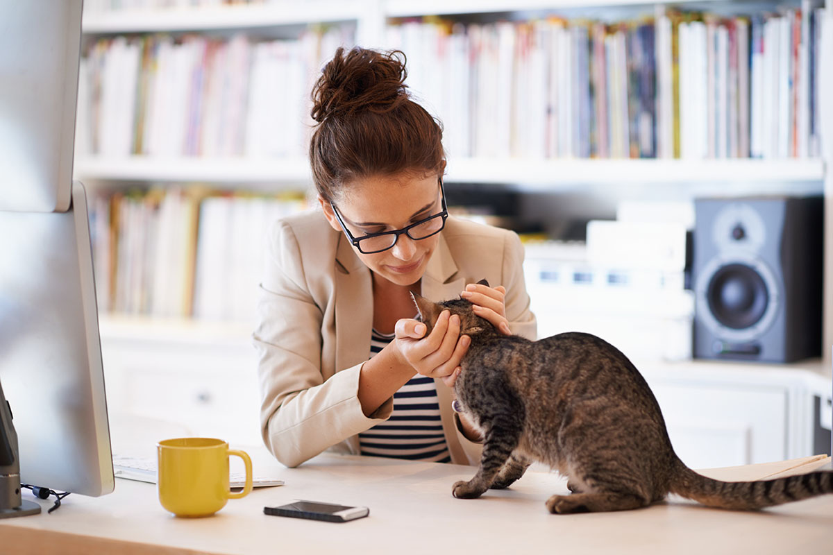 Shot of a young woman enjoying a cuddle with her cat while working from home