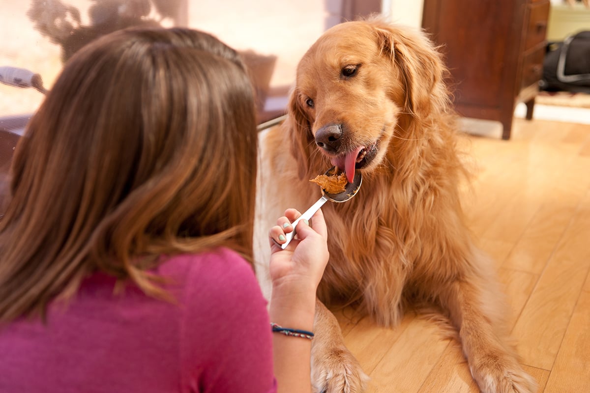 A woman feeds her dog peanut butter.