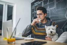 Young businessman working in pet friendly office