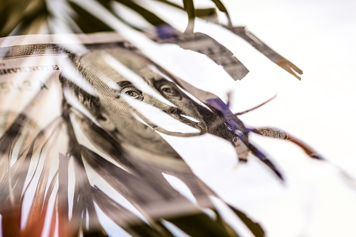 Money that's been shredded is photographed.
