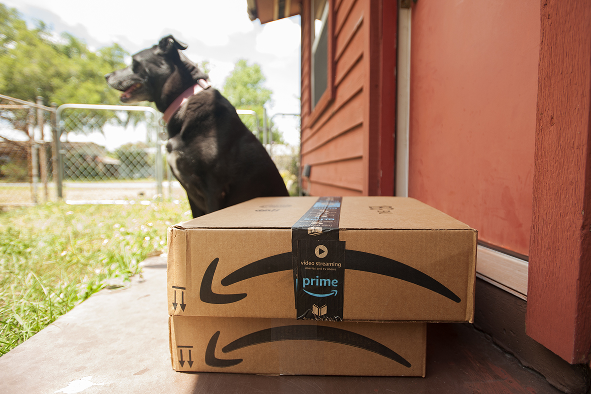 Amazon customer service jobs