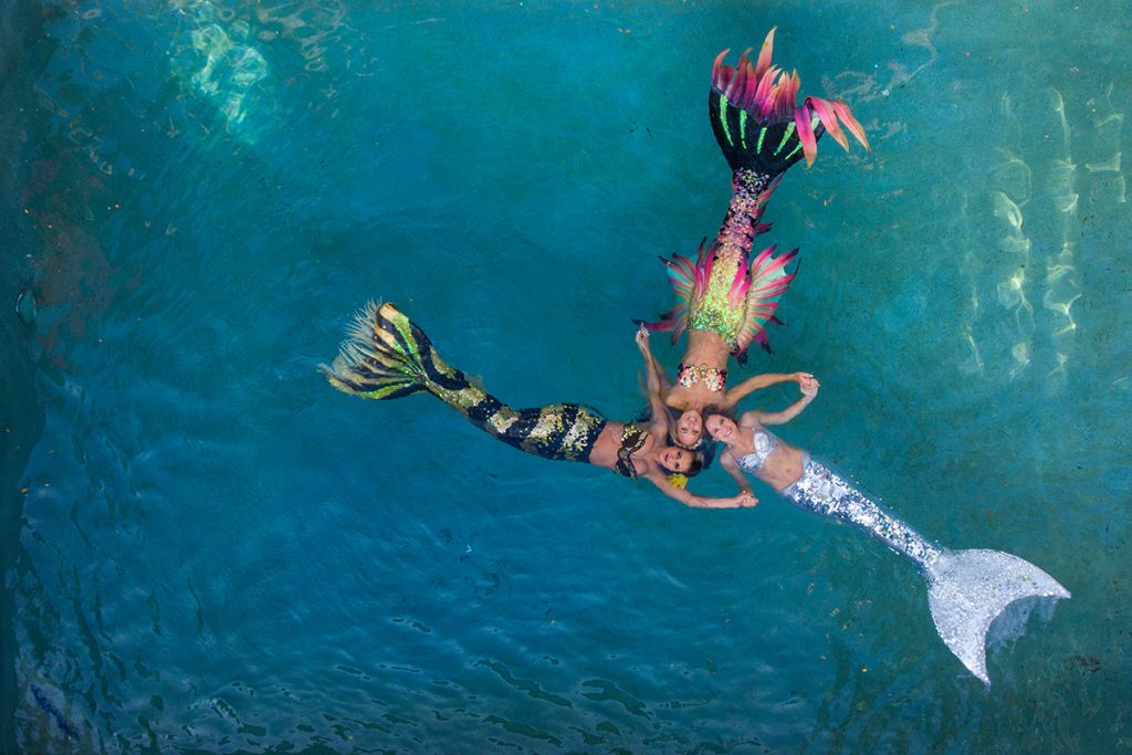 8 Tips for Finding Your Dream Job From Real Mermaids