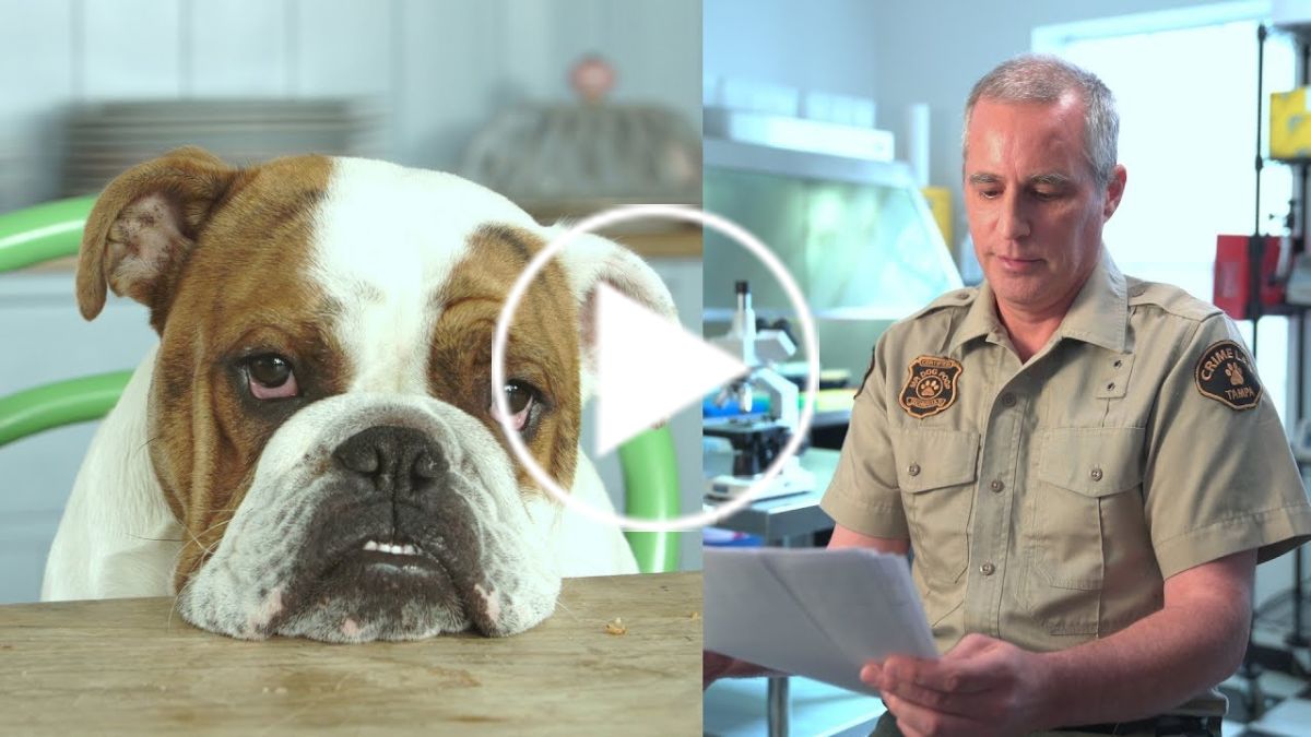 Start a PooperScooper Business Get Paid to Pick Up Dog Poop