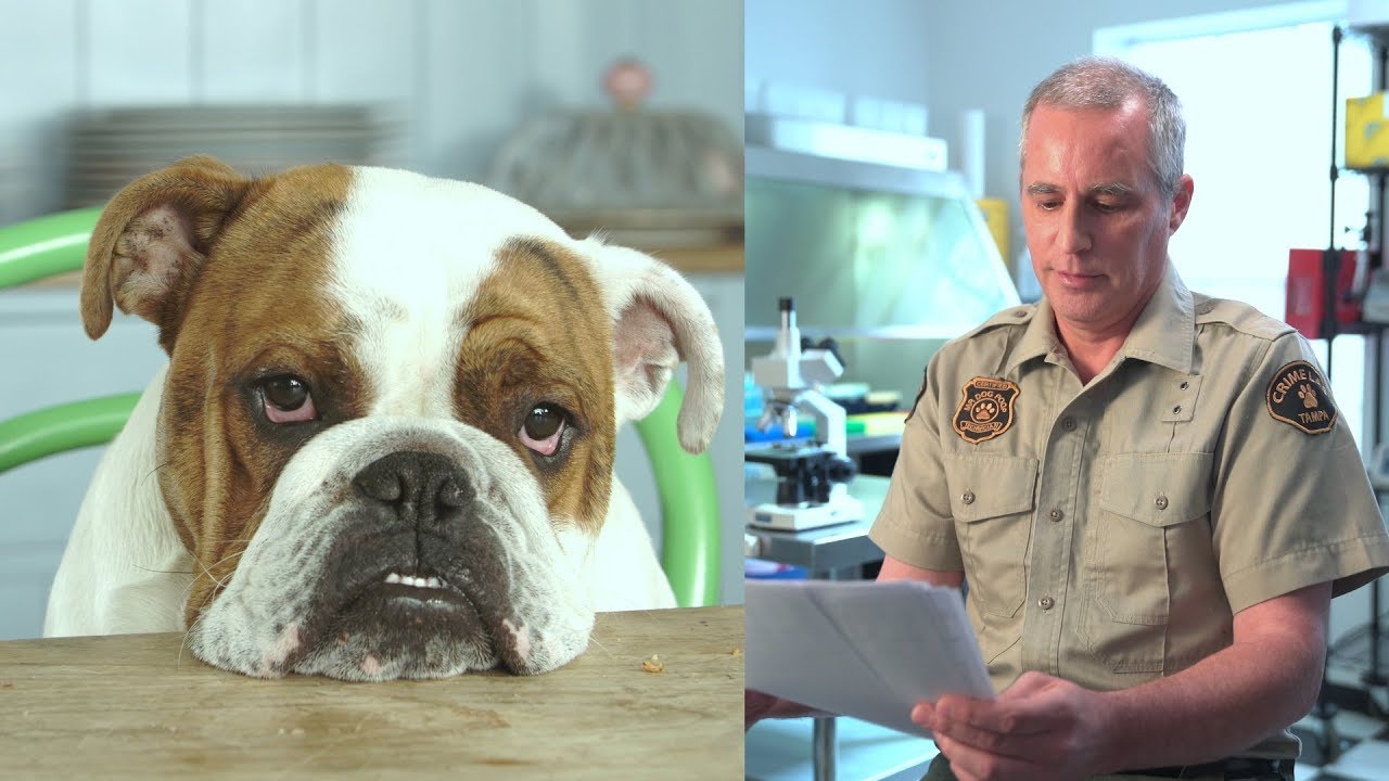 How Much Money Can You Make Picking Up Dog Poop