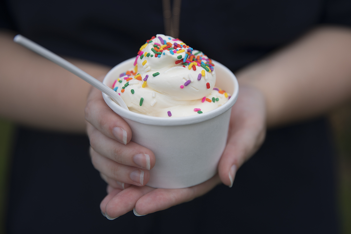 Detail of a frozen custard with rainbow sprinkles
