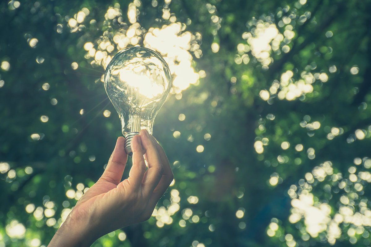 Hand of person holding light bulb