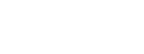 Tampa Bay Times Logo