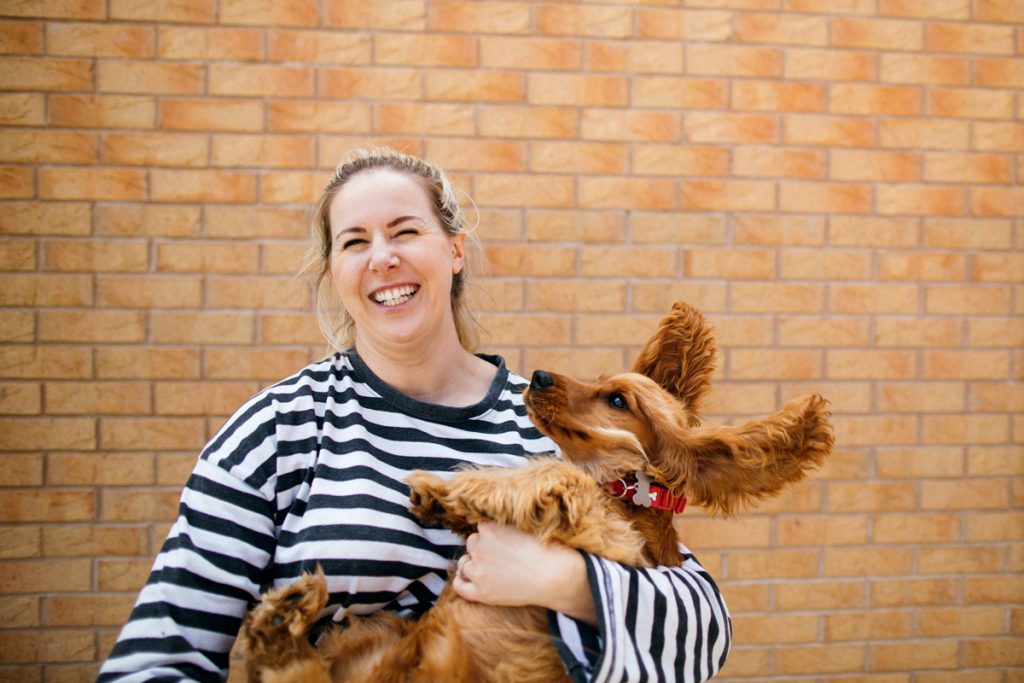 canned pumpkin petco