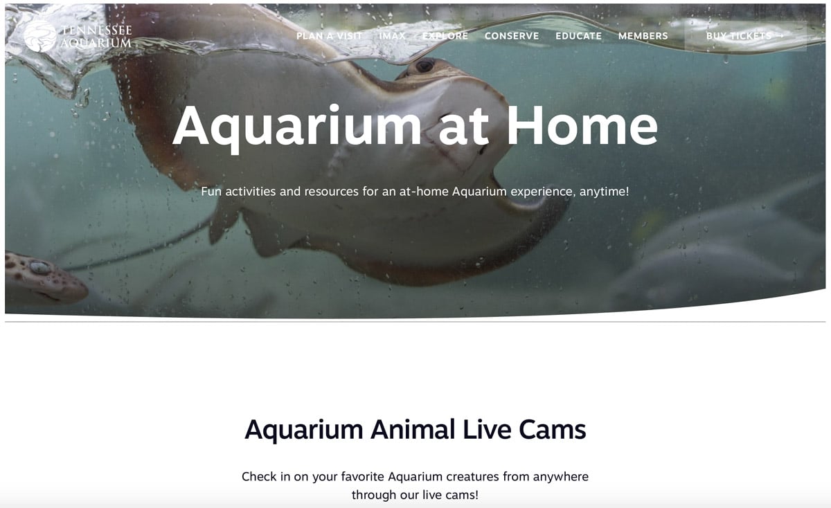 This screenshot is of the home page for the Tennessee Aquarium.