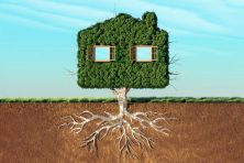 A home grows from the ground in this photo illustration.