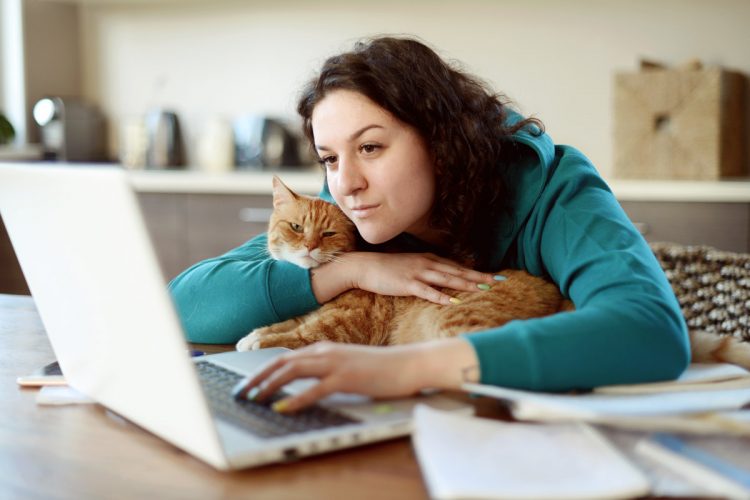 5 Bill Pay Services — Plus Other Options for Automating Bill Payments