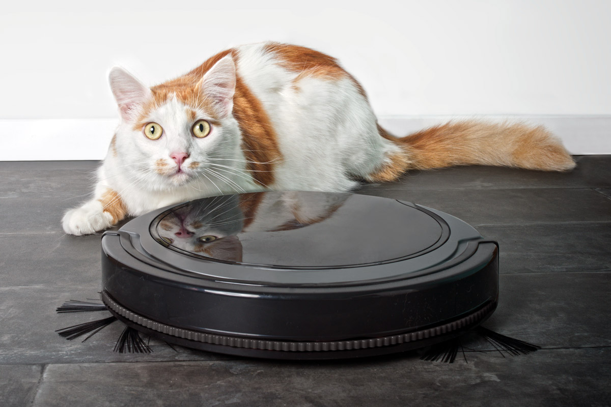 The Best Budget Robot Vacuums, From Roomba to Eufy