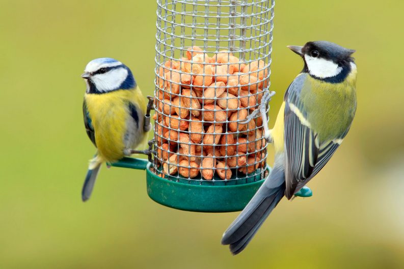 26 Ways to Use Chicken Wire From Decor to Jewelry Organizer