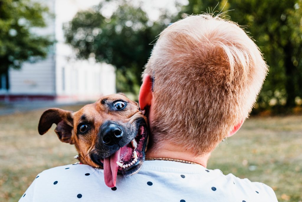 When You Love Your Dog But Your Insurance Company Doesn’t